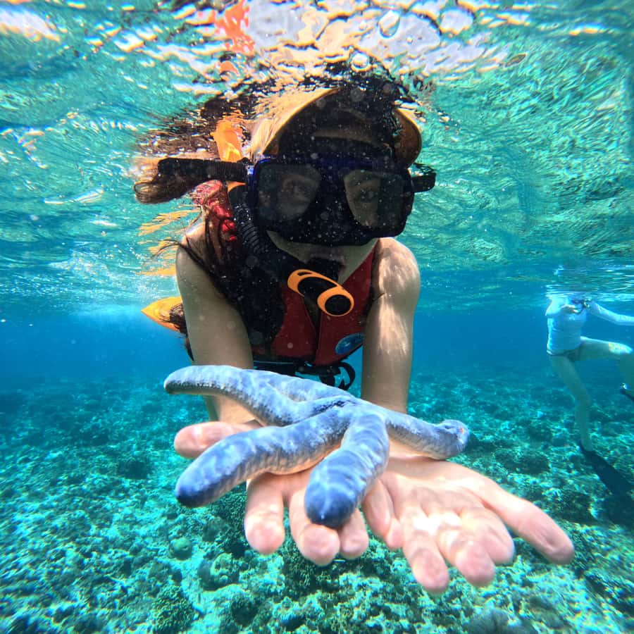 From Sanur : Snorkeling and Land Excursion at Nusa Penida - Crystal Bay gives you a second chance