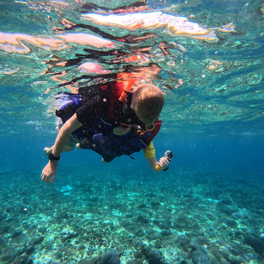 From Sanur : Snorkeling and Land Excursion at Nusa Penida - Lunch near Toya Pakeh Harbour