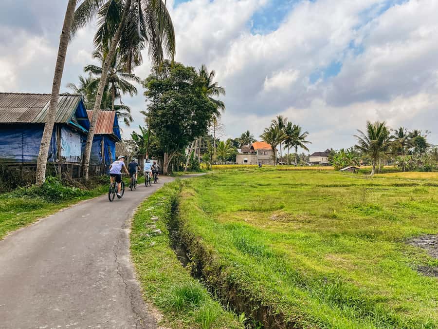 From Ubud: Downhill Bike Tour with Rice Terraces and Meal - Key points at a glance