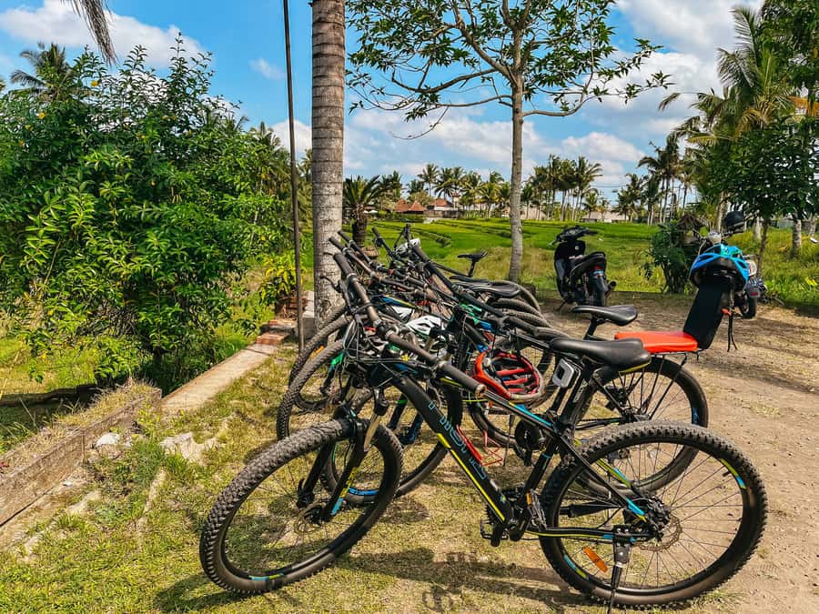 From Ubud: Downhill Bike Tour with Rice Terraces and Meal - A 23-kilometer ride through rural Bali