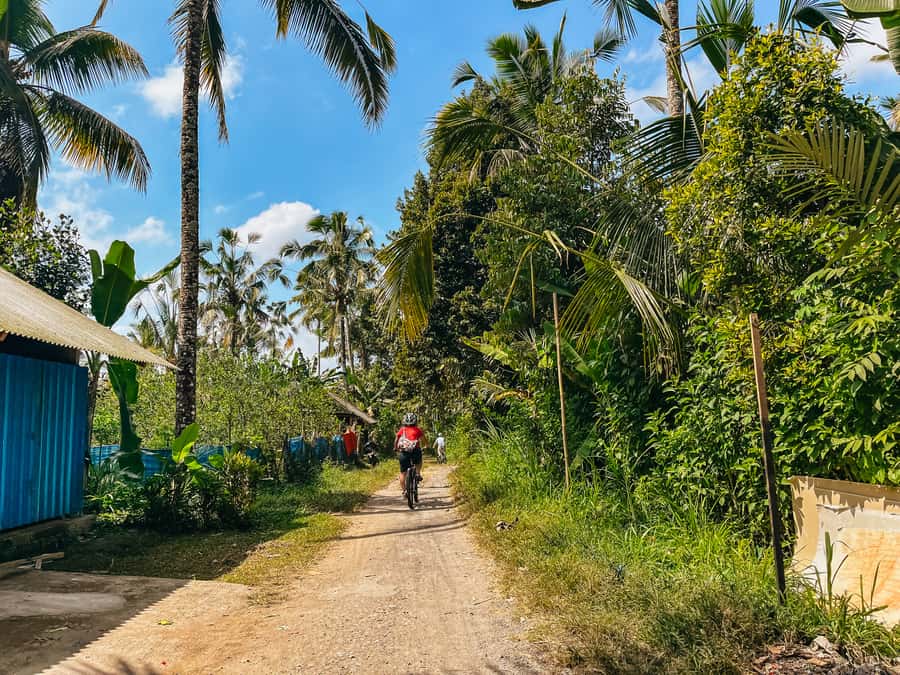 From Ubud: Downhill Bike Tour with Rice Terraces and Meal - Rice terraces and the subak system