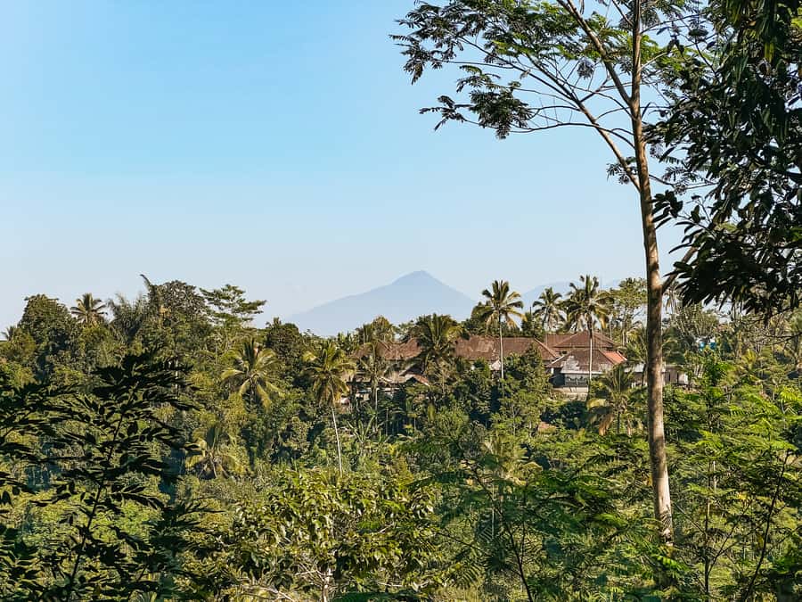 From Ubud: Downhill Bike Tour with Rice Terraces and Meal - What the $40 price really covers