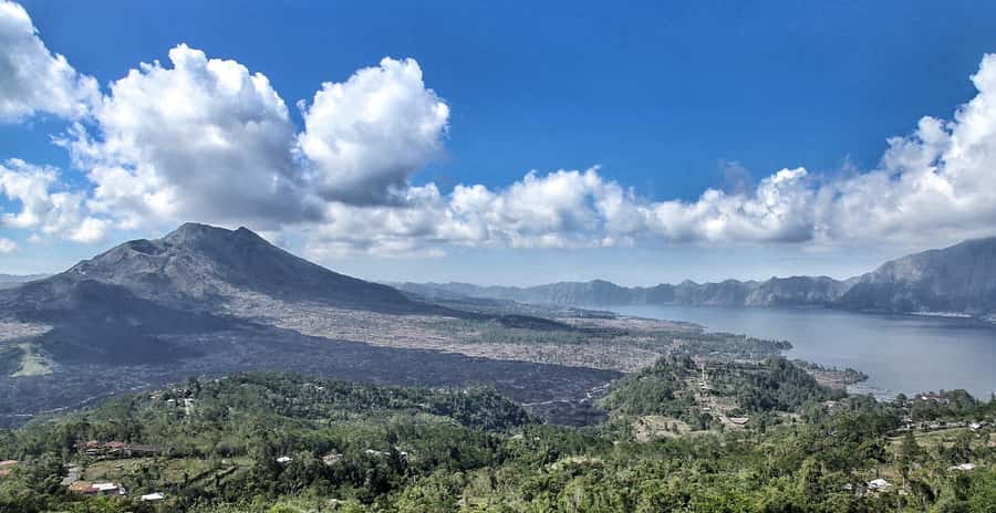From Ubud: Downhill Bike Tour with Rice Terraces and Meal - Coffee, tea, and breakfast before the ride