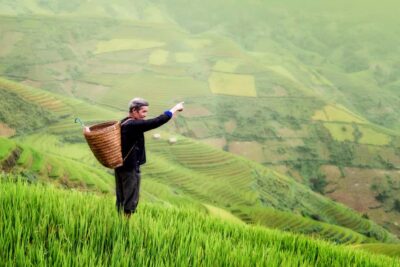 Evening Firefly Tour in Taro Village