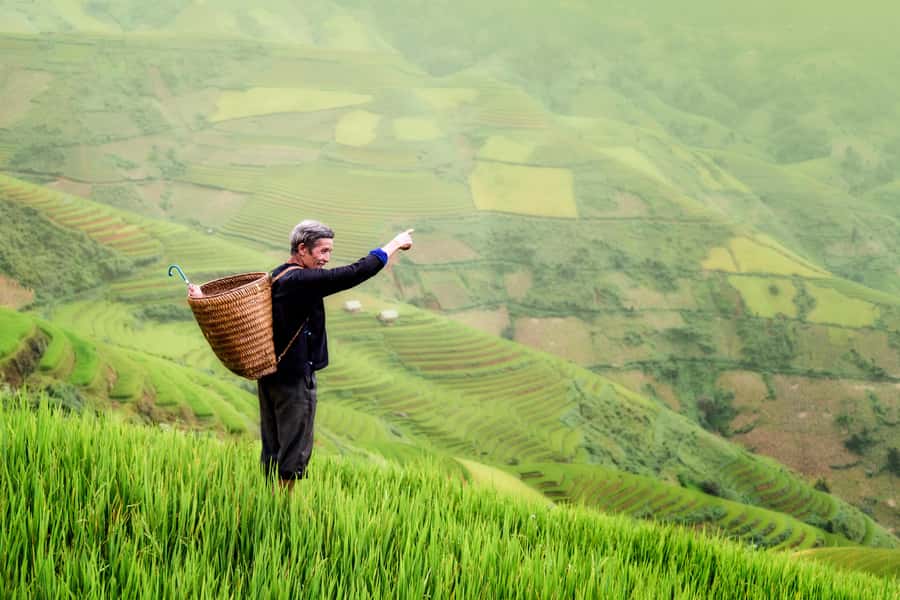 From Ubud: Evening Firefly Tour in Taro Village - From Pura Dalem Puri Peliatan to Taro Village