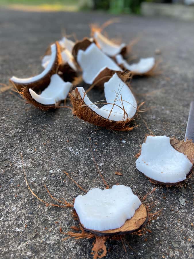 From Ubud: Traditional Bali Coconut Oil Class - A closer look at local life in Taro