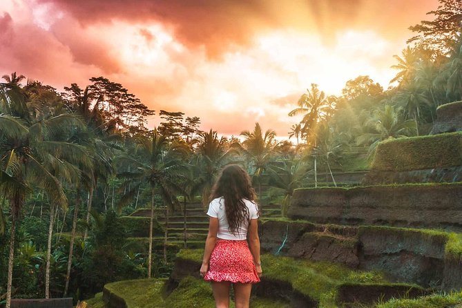 Full-Day Bali Private Customized Tours Create Your Itinerary - Ubud waterfalls, rice terraces, and Tirta Empul