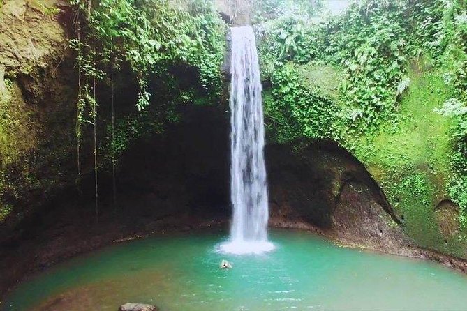 Full-Day Bali Private Customized Tours Create Your Itinerary - Add an activity instead of another sightseeing stop