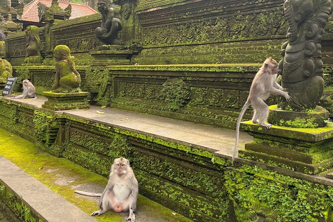 Full Day Best of Ubud Private Tour - The Sacred Monkey Forest adds shade and temple scenery