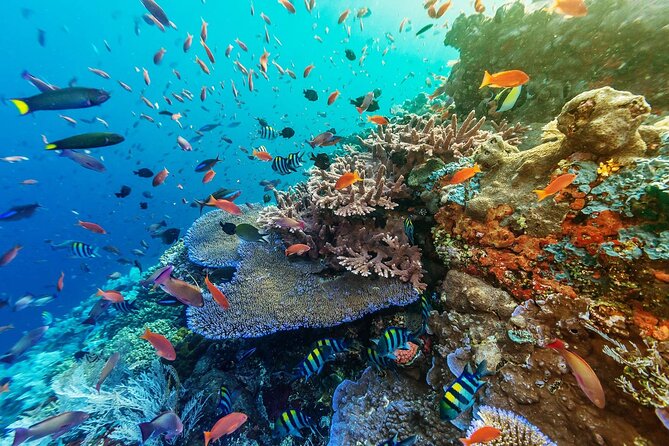 Full-Day Nusa Penida Snorkeling Adventure from Bali - Broken Beach and Angel’s Billabong: two cliffside sights close together