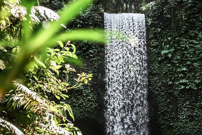 Full Day Private Tour All Inclusive Hidden Gems Bali Waterfall - The physical side of a waterfall day