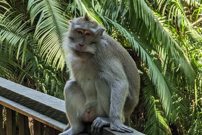 Full Day Private Tour to Ubud Waterfall and Tanah Lot Sunset - Indonesian lunch in Ubud keeps the middle of the day simple