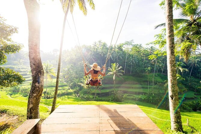 Full Day Private Tour to Ubud Waterfall and Uluwatu Sunset - Indonesian lunch in Ubud