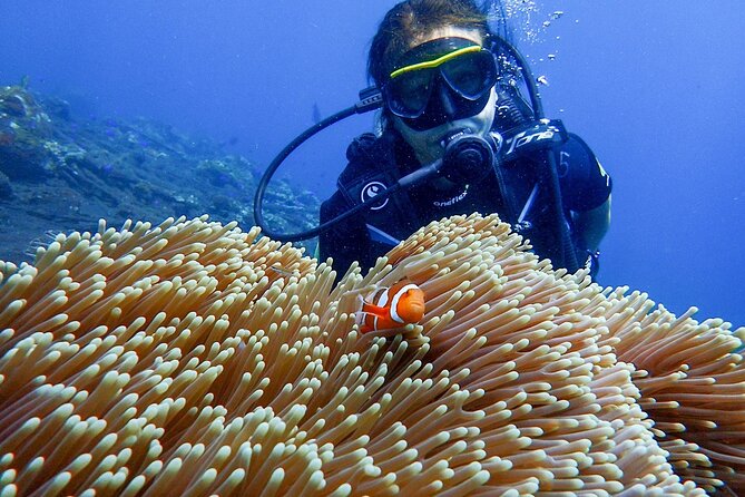 Full-Day Scuba Diving Experience of USAT Liberty in Tulamben - The early ride from Jimbaran to Tulamben