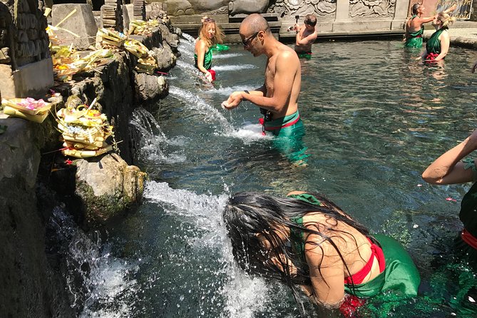 Full day Tour to Best of Ubud with jungle swing - Tegenungan Waterfall, a wet finish