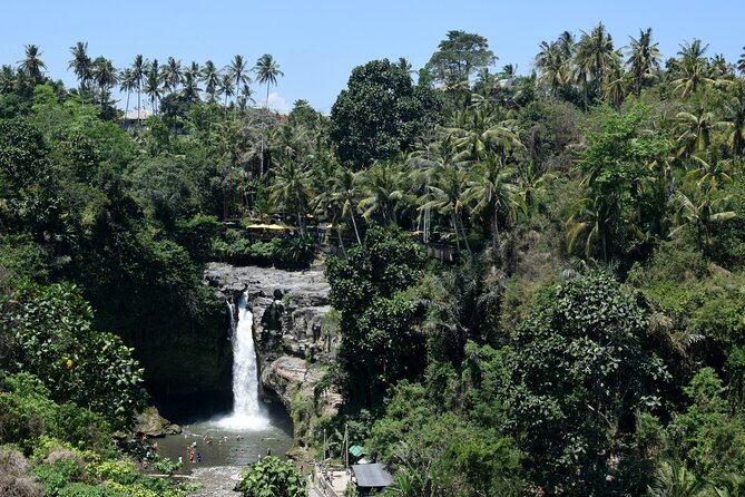 Full day Tour to Best of Ubud with jungle swing - The real price, and what you receive for it