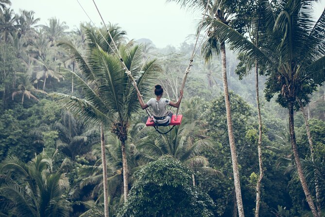 Full day Tour to Best of Ubud with jungle swing - Tegalalang Rice Terrace and the valley swing