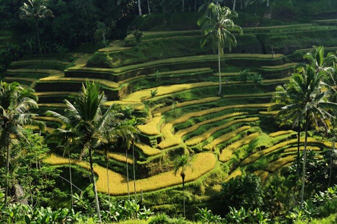 Full Day – Ubud Art Village and Mount Batur Kintamani with Lunch - Tegalalang explains Bali’s rice terraces