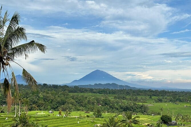 Full-day Ubud Private tour : Cultural Heritage - Tegalalang Rice Terrace: famous views with a short visit