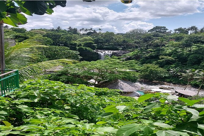 Full Day Ubud Tour - Tegalalang Rice Terrace and the subak tradition