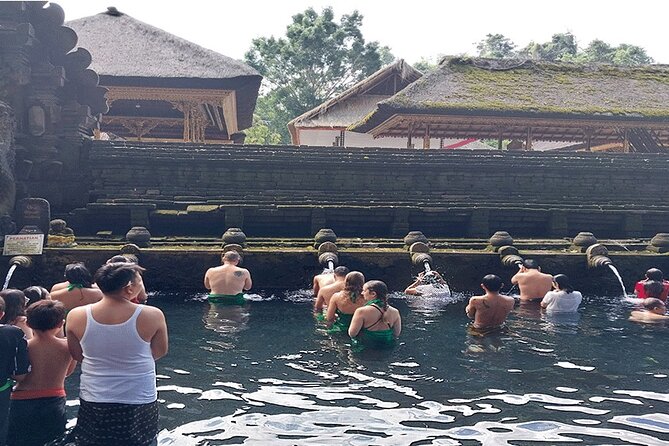 Full Day Ubud Tour - Saraswati Temple and the lotus pond