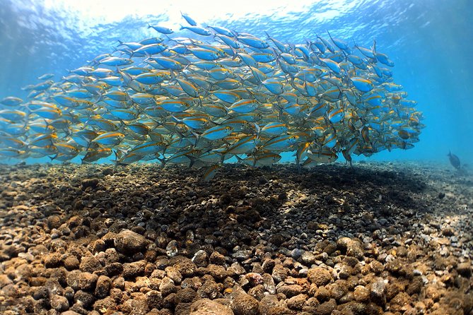 Fun Diving Tulamben Bali - For Certified Divers - What the shore entry means for you