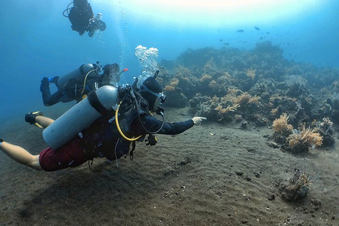 Fun Diving Tulamben Bali - For Certified Divers - The 6:30 to 7:00 am start from Bali