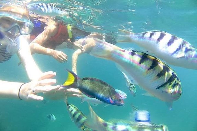 Gate Heaven Tirta Gangga With Snorkeling Private Guided Tour - Why this east Bali day works