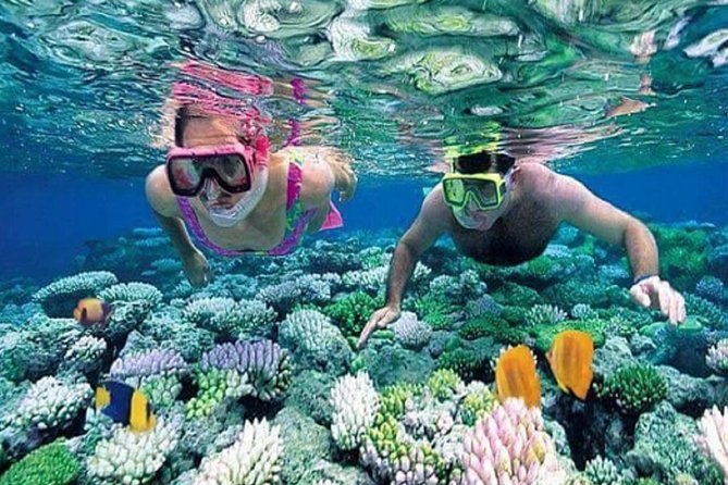 Gate Heaven Tirta Gangga With Snorkeling Private Guided Tour - Blue Lagoon and Tanjung Jepun snorkeling