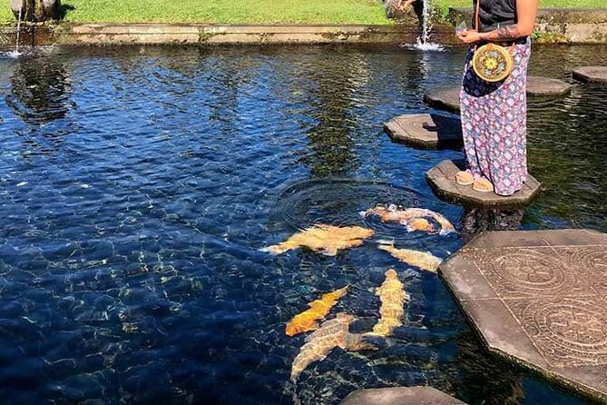 Gate of Heaven Tour With Guide : All-Inclusive Best Experience - The private vehicle changes the day