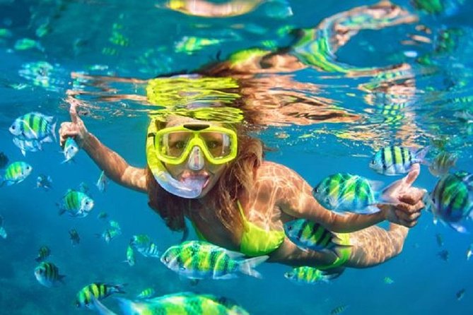 Gates of Heaven Temple and Blue Lagoon Snorkeling with All-inclusive - What the private format really adds