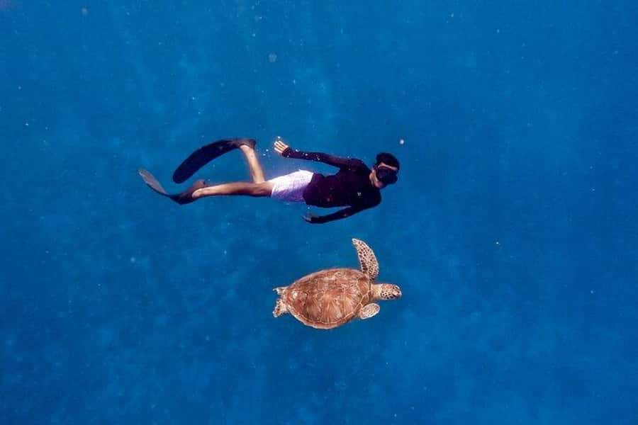 Gili Islands: Private Snorkeling Boat Tour with Local Guide - Key points to know before booking
