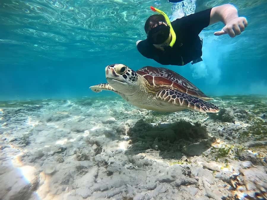 Gili Islands: Private Snorkeling Boat Tour with Local Guide - Gili Trawangan: a busy first look at the islands