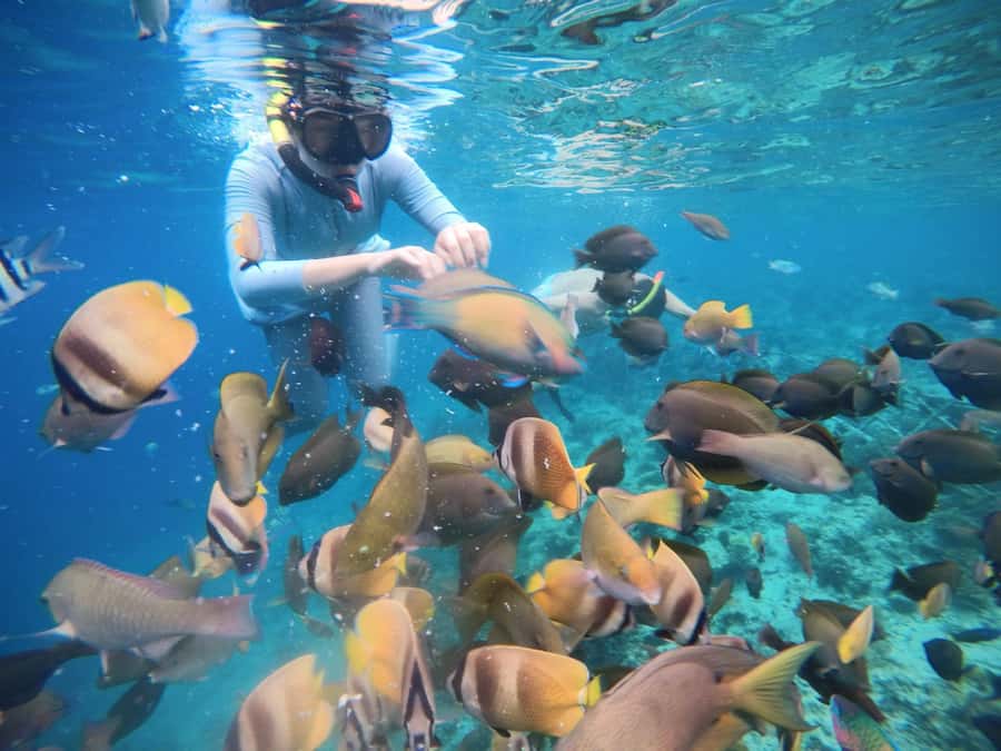Gili Islands: Private Snorkeling Boat Tour with Local Guide - Gili Air: confirm this stop before you go