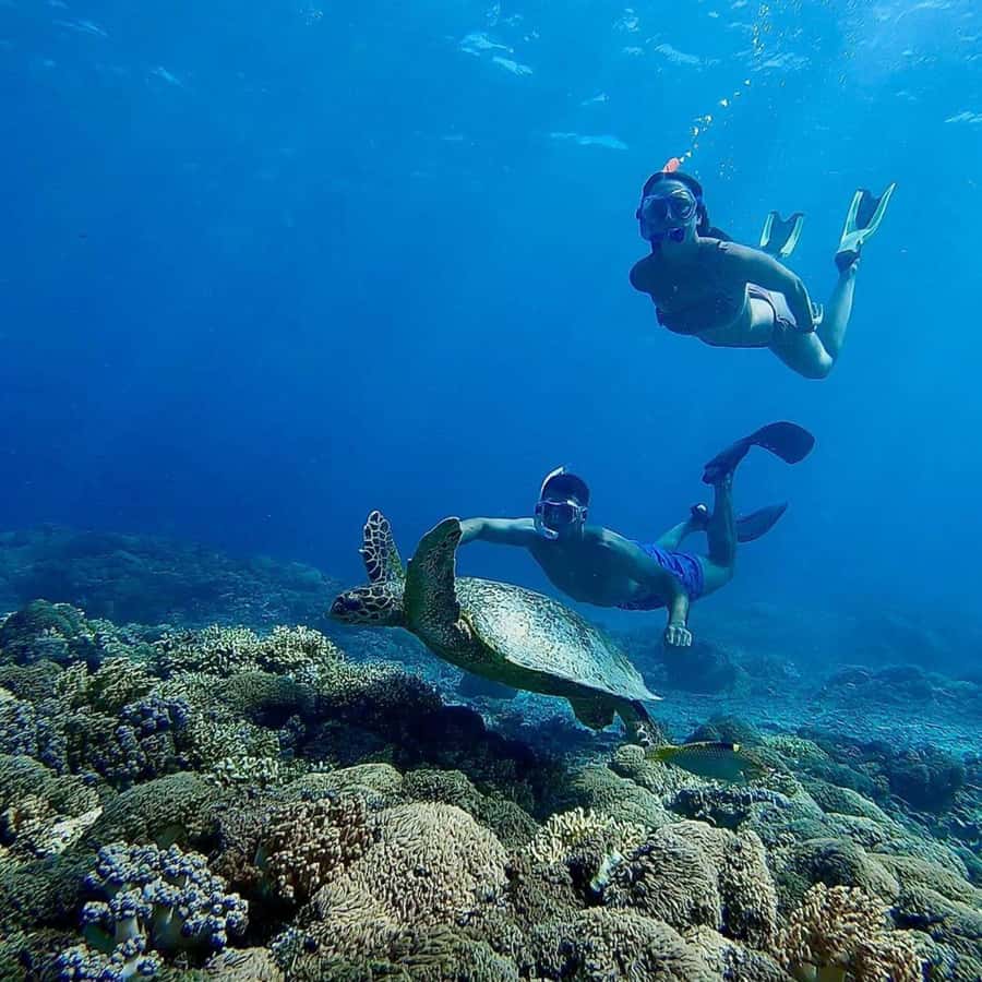 Gili Islands: Private Snorkeling Boat Tour with Local Guide - What the guide adds in the water