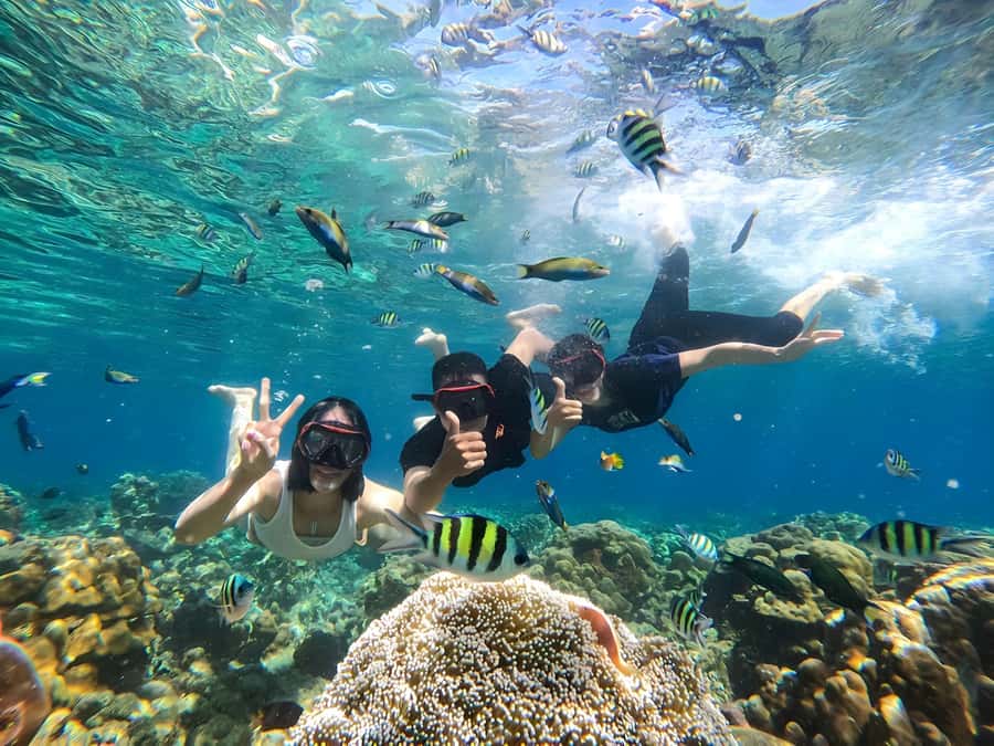 Gili Islands: Private Snorkeling Boat Tour with Local Guide - Who will enjoy this trip most