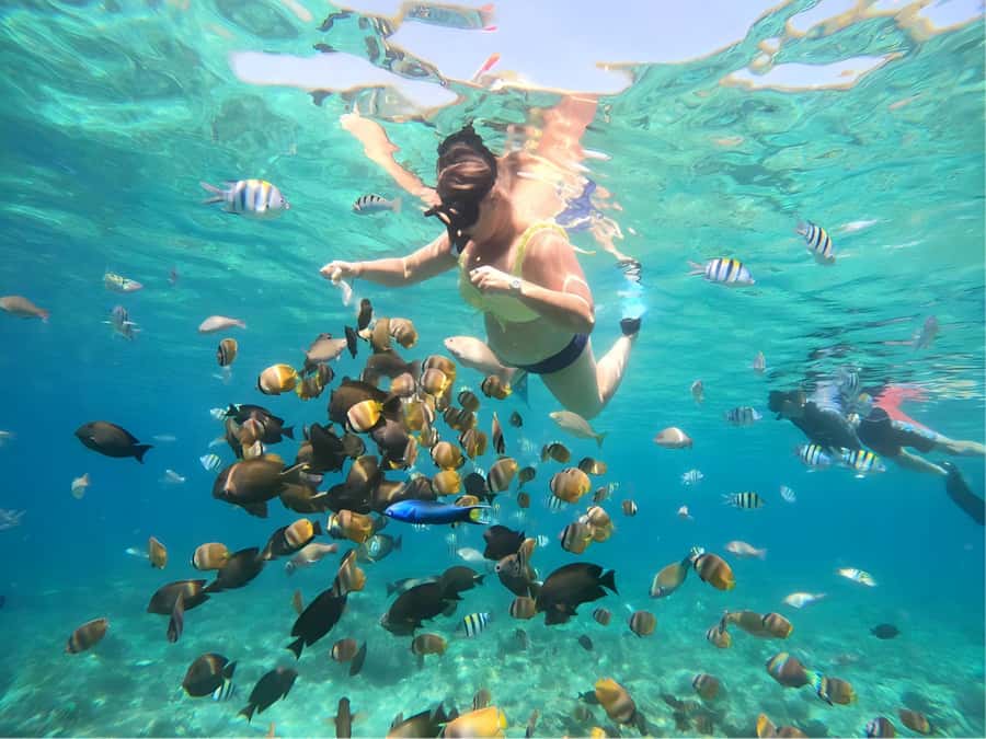 Gili Islands: Private Snorkeling Boat Tour with Local Guide - Meeting your guide on Gili Air, Lombok, or Gili Trawangan