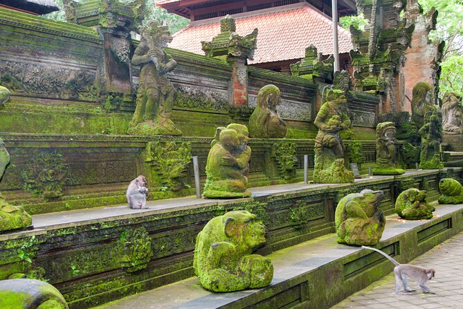 Goa Gajah / Elephant Cave Temple And Ubud Tour - All Inclusive - Ulu Petanu Waterfall for a cooler pause