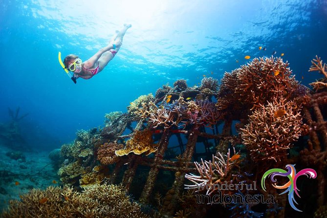 Have fun 1 day in Nusa Penida: snorkeling, kelingking & broken beach incl lunch - Key points to know before you book