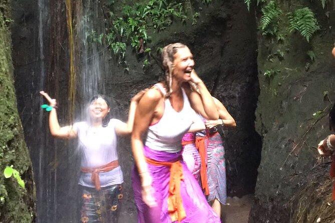 Healing and Purifications Tour in Bali - Private transport makes the six-hour day easier