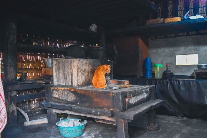 Highlight of Bali Tour - Why this tour reaches beyond Bali’s usual postcard stops