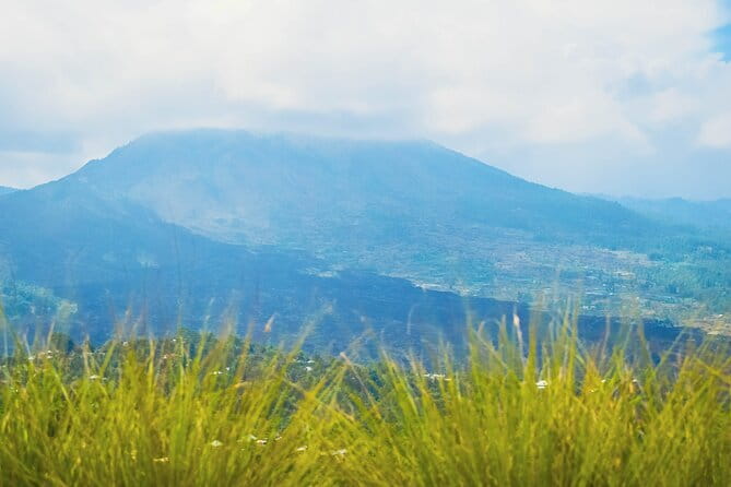 Highlight of Bali Tour - Bukit Jati tea, rice fields, and the final pause