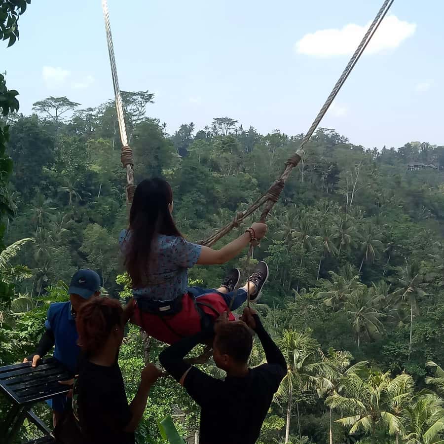 Hire Bali Driver As Your Guide - Gate of Heaven, Tirta Gangga, and two waterfalls