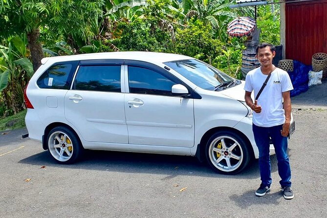 Individual Private Car Hire with English Speaking Chauffeur - Planning an Ubud and waterfall day