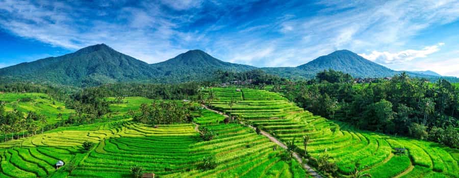 Jatiluwih (UNESCO Site) 2-Hour E-Bike Cycling Tour - Practical ways to improve your day