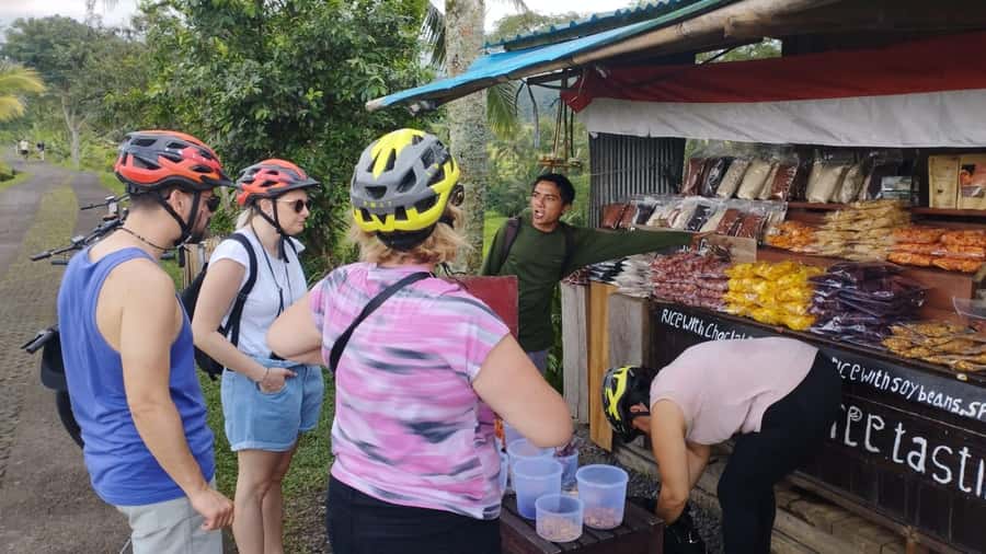 Jatiluwih (UNESCO Site) 2-Hour E-Bike Cycling Tour - From Batukaru’s temple area to the first village roads