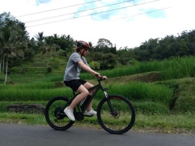 Jatiluwih (UNESCO Site) 2-Hour E-Bike Cycling Tour
