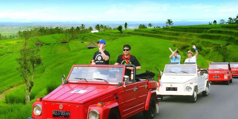 Jatiluwih VW Safari Bali Tour - Key points to know before booking