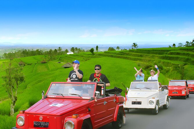 Jatiluwih VW Safari Bali Tour - Volkswagen Classic Car Trip - Ulun Danu Beratan and lunch by the lake