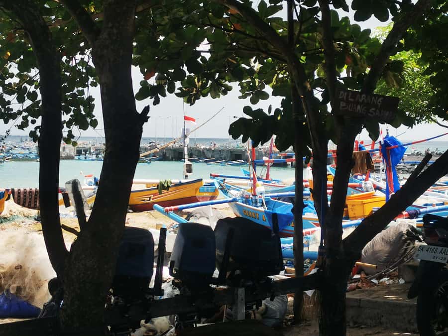 Jimbaran: Exotic Culinary Fish and Seafood Tour - Key points to know before you book